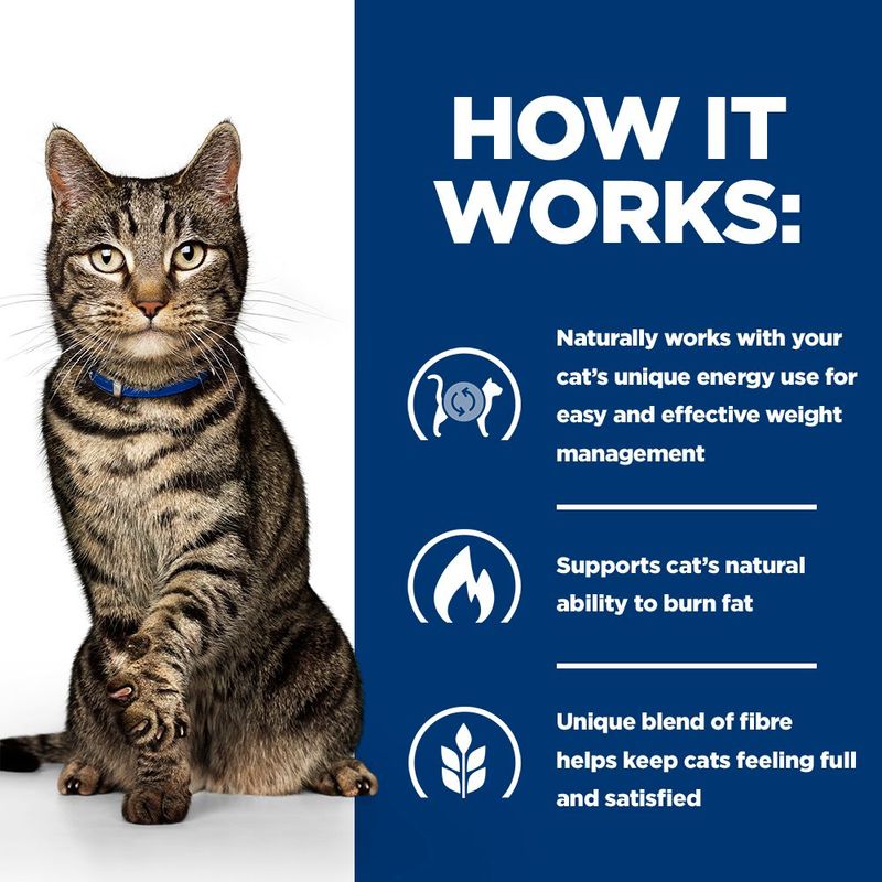 Hill's Prescription Diet Metabolic Weight & Diabetes Management with Salmon
