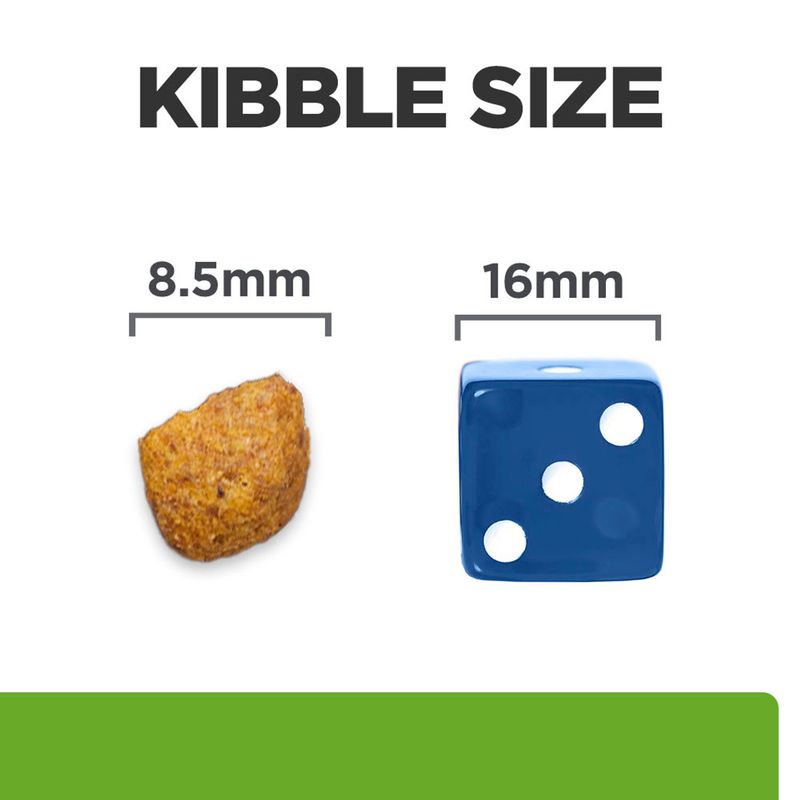 Size comparison: Kibble with a diameter of 8.5 mm next to a cube with an edge length of 16 mm. Heading: Kibble Size.
