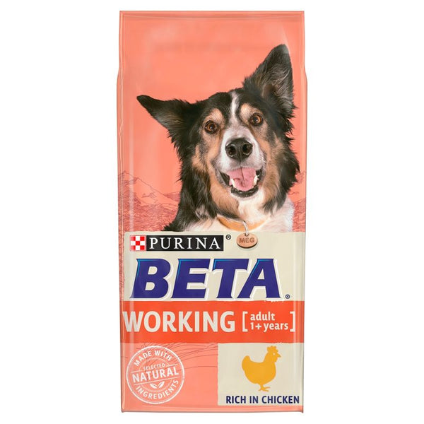 BETA Adult Working Dog || Beta || view 1