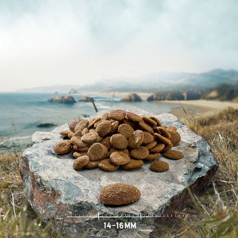 Kibble on stone with size indication, 14–16 mm, shows the shape and size of the food.