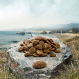 Kibble on stone with size indication, 14–16 mm, shows the shape and size of the food.