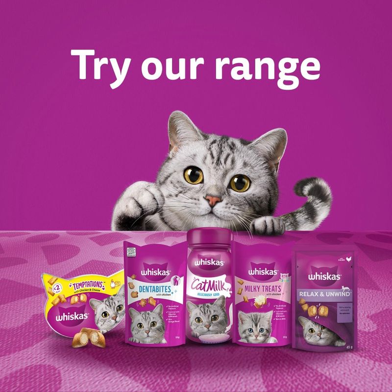 Various Whiskas cat products: Temptations, Dentabites, CatMilk, Milky Treats and Relax & Unwind against a purple background with a cat. Text: Try our range.