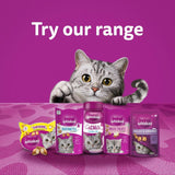 Various Whiskas cat products: Temptations, Dentabites, CatMilk, Milky Treats and Relax & Unwind against a purple background with a cat. Text: Try our range.