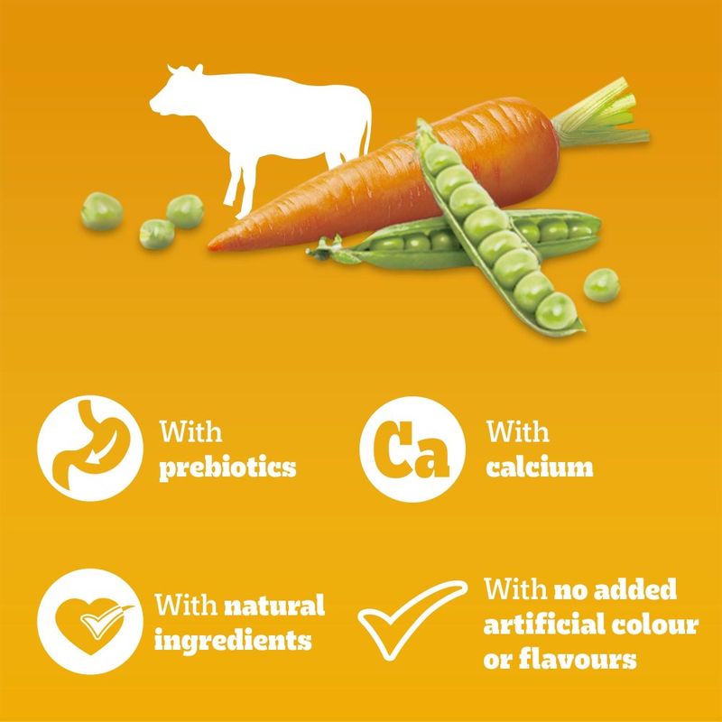 PEDIGREE® COMPLETE™ Puppy Beef & Vegetables