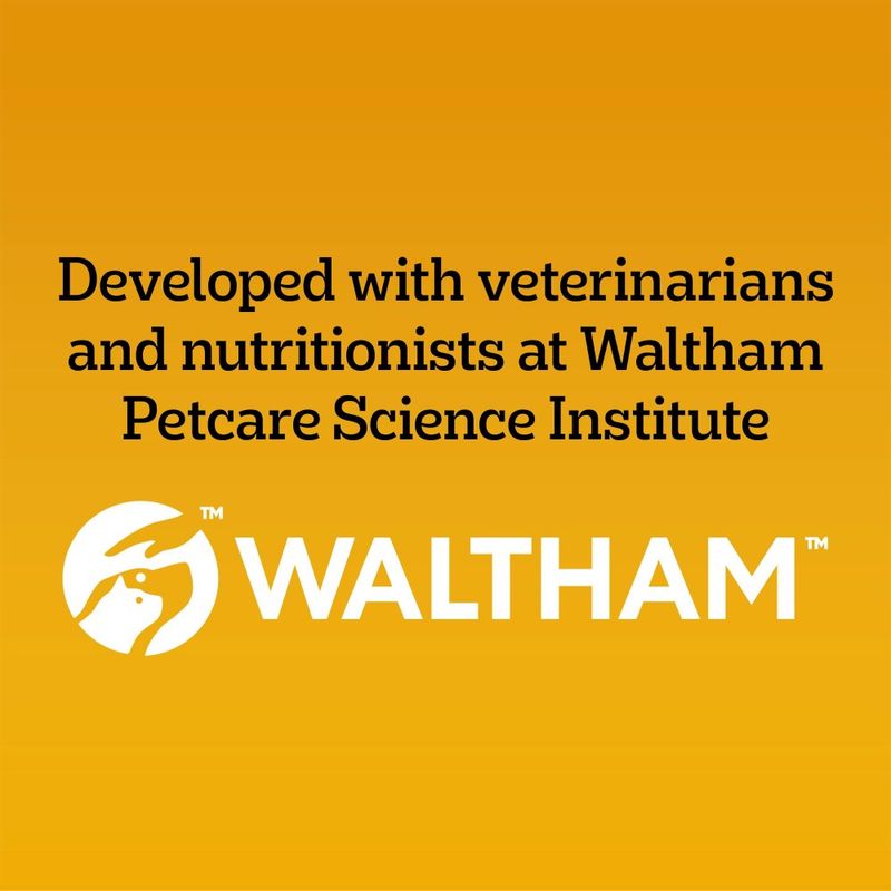 PEDIGREE® COMPLETE™ Senior Poultry & Vegetables