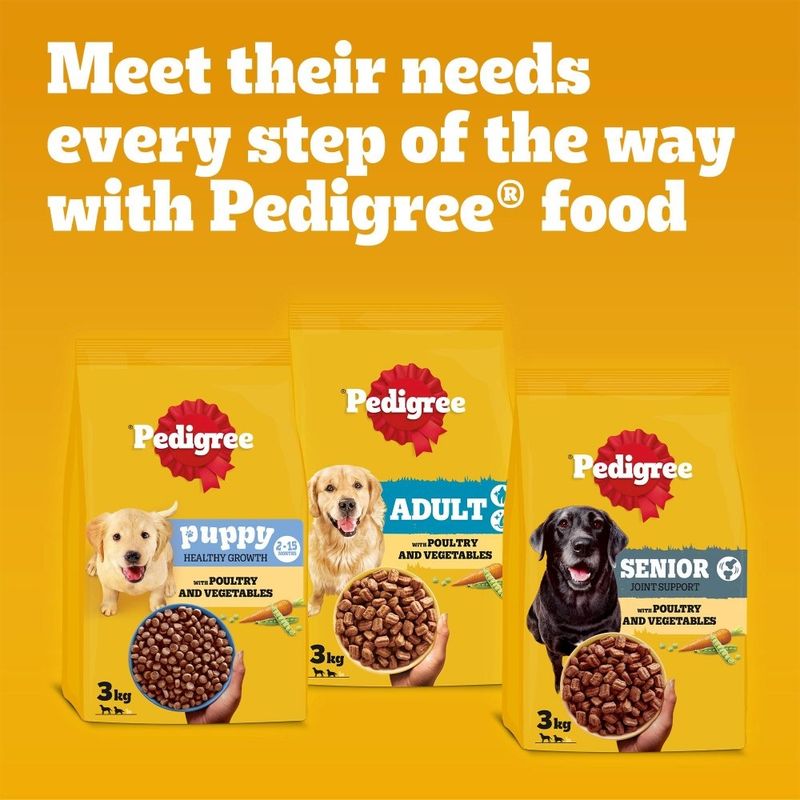 PEDIGREE® COMPLETE™ Senior Poultry & Vegetables