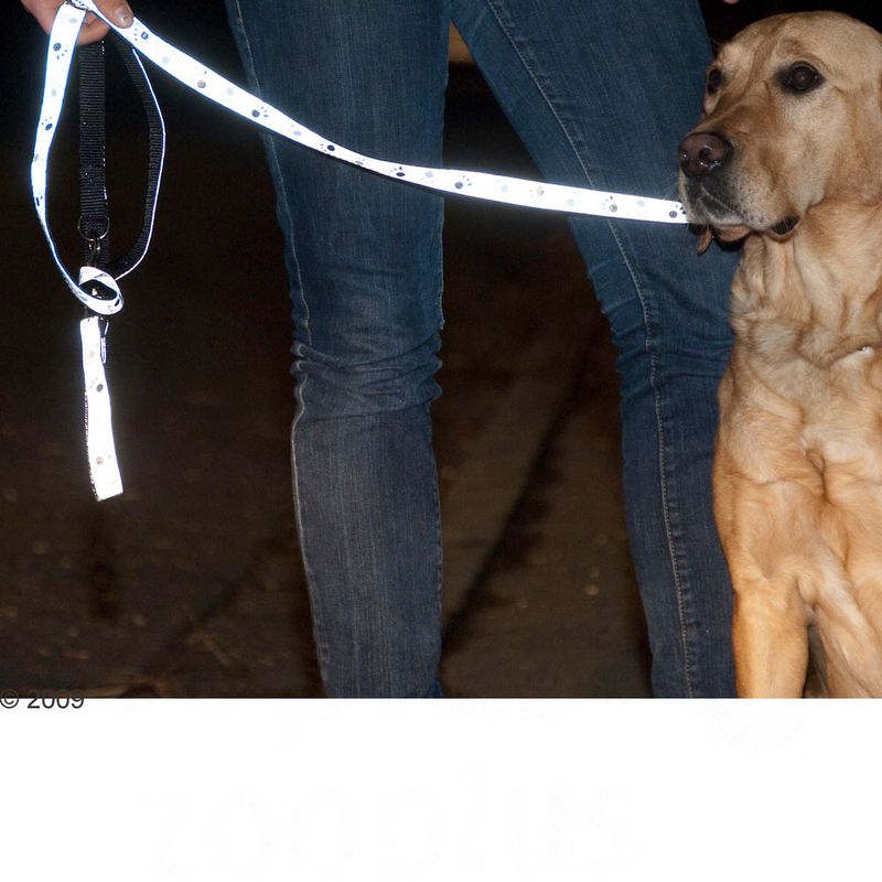 Trixie Reflective Paws Dog Lead - Silver || Trixie || view 6