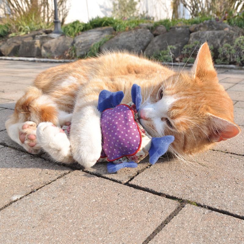 Red cat playing with a purple fabric toy with blue details on a paved surface.