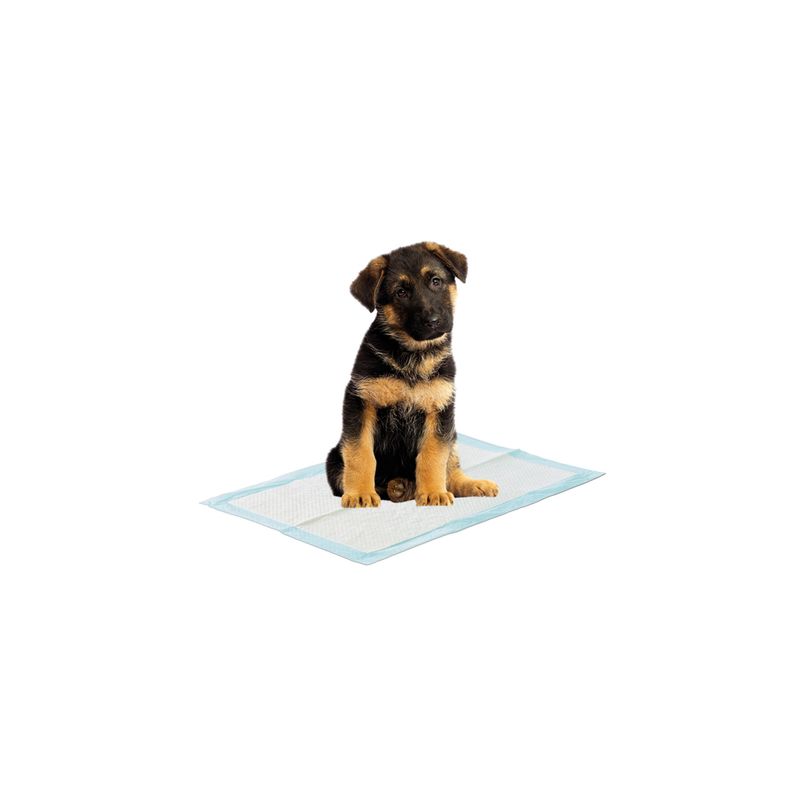 Savic Puppy Trainer Starter Set || savic || view 13
