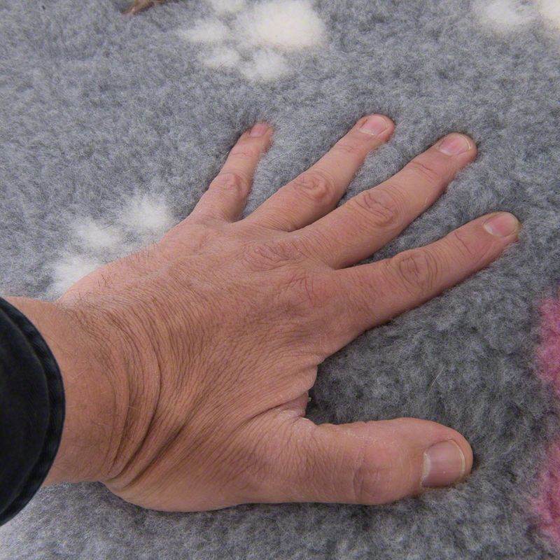Vetbed® Isobed SL grey with hearts and paws || Vetbed || view 5