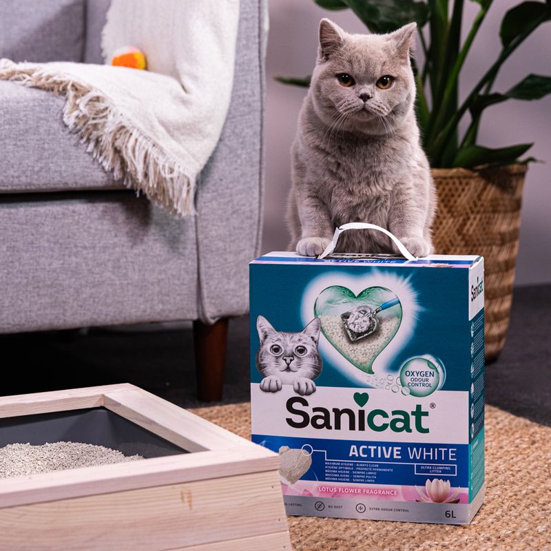 Sanicat Active White cat litter, lotus blossom scent, 6L, with Oxygen Odour Control for odour-free hygiene.