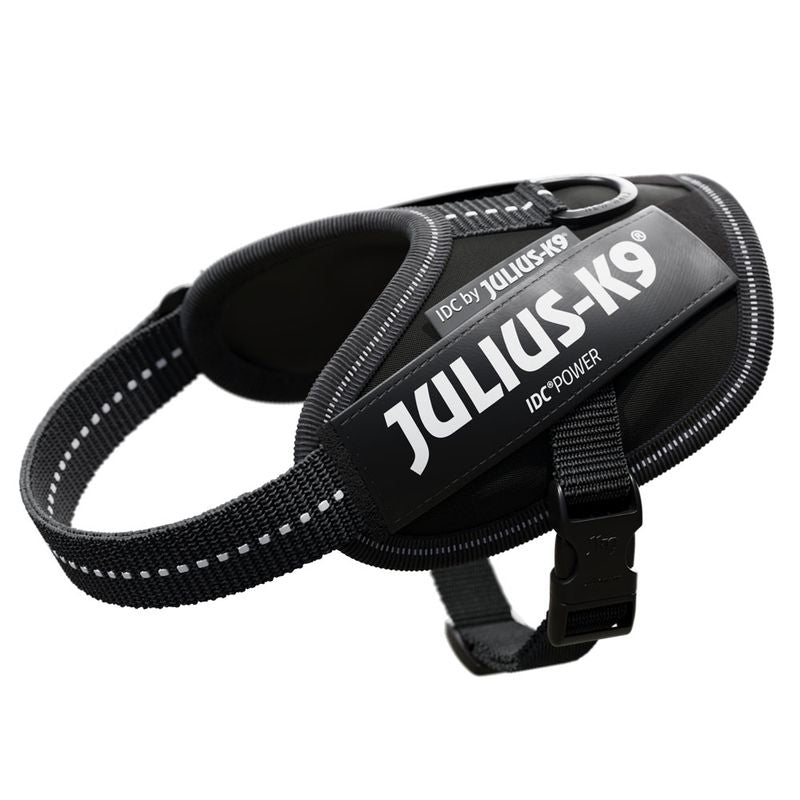 Black Julius-K9 IDC Power dog harness with reflective stitching and sturdy fastener.