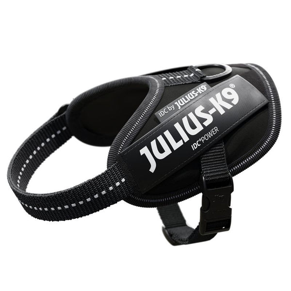 Black Julius-K9 IDC Power dog harness with reflective stitching and sturdy fastener.