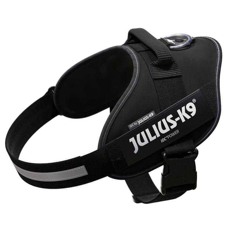 Black Julius-K9 IDC power harness with reflective stripes and sturdy fastener. Visible brand name: Julius-K9.