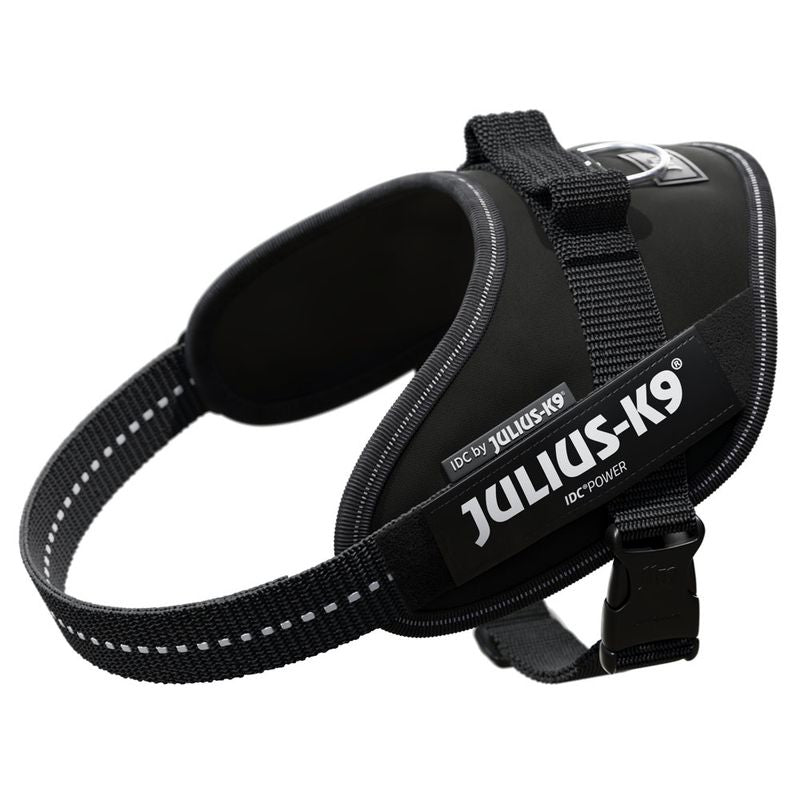 Black Julius-K9 IDC-Power harness with reflective stitching and sturdy fastener, suitable for dogs. Visible brand name: Julius-K9.
