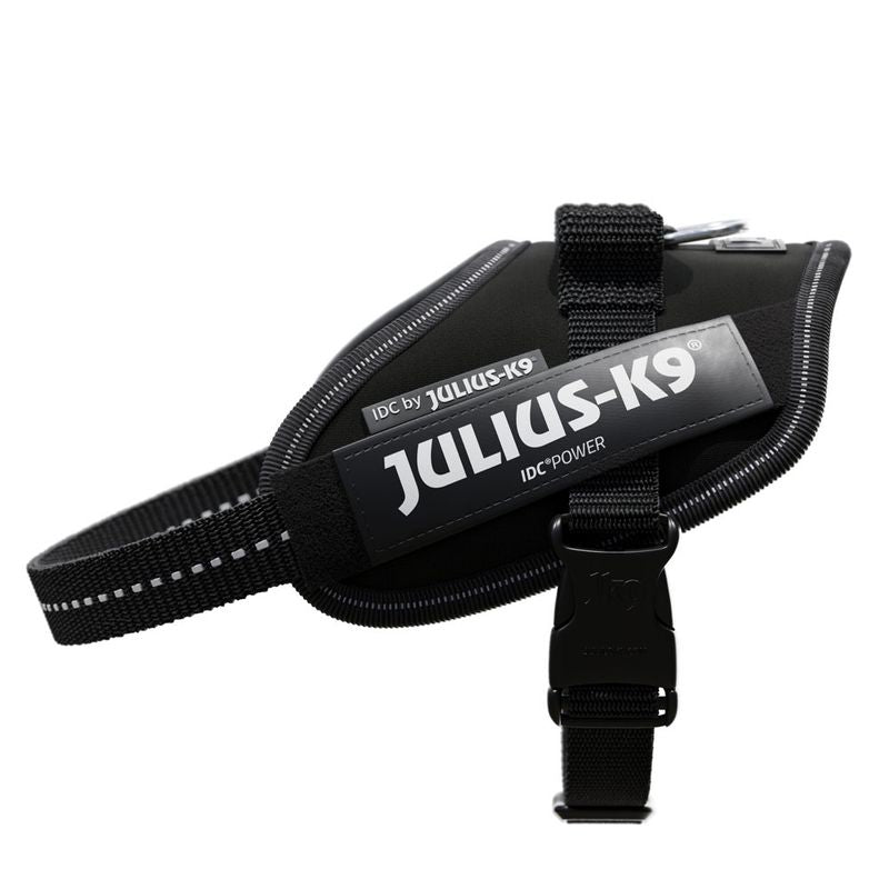 Julius-K9 IDC Power dog harness, black design with adjustable strap and sturdy buckle.