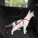 White cat with red safety harness and leash on the back seat of a car, attached to the seat belt for safe transport.