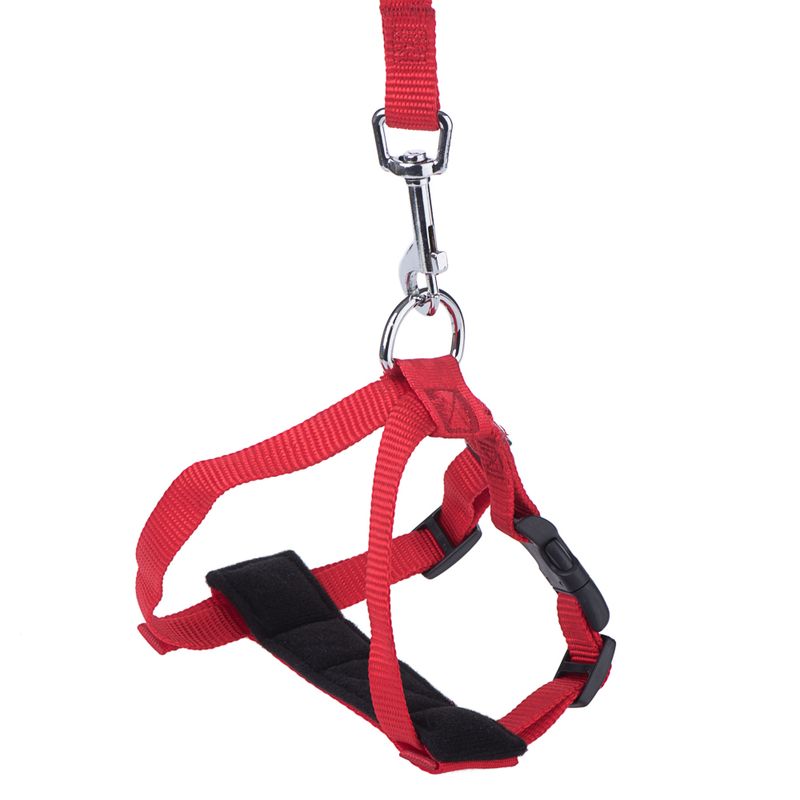 Red harness with adjustable straps, black padding and metal clip for attachment.
