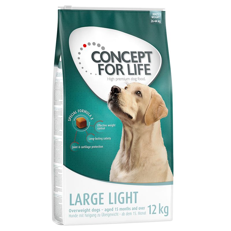 Concept for Life Large Light || Concept for Life || view 2