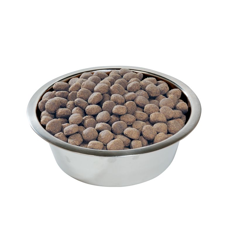 PURINA PRO PLAN Large Robust Adult Everyday Nutrition || Pro Plan || view 4