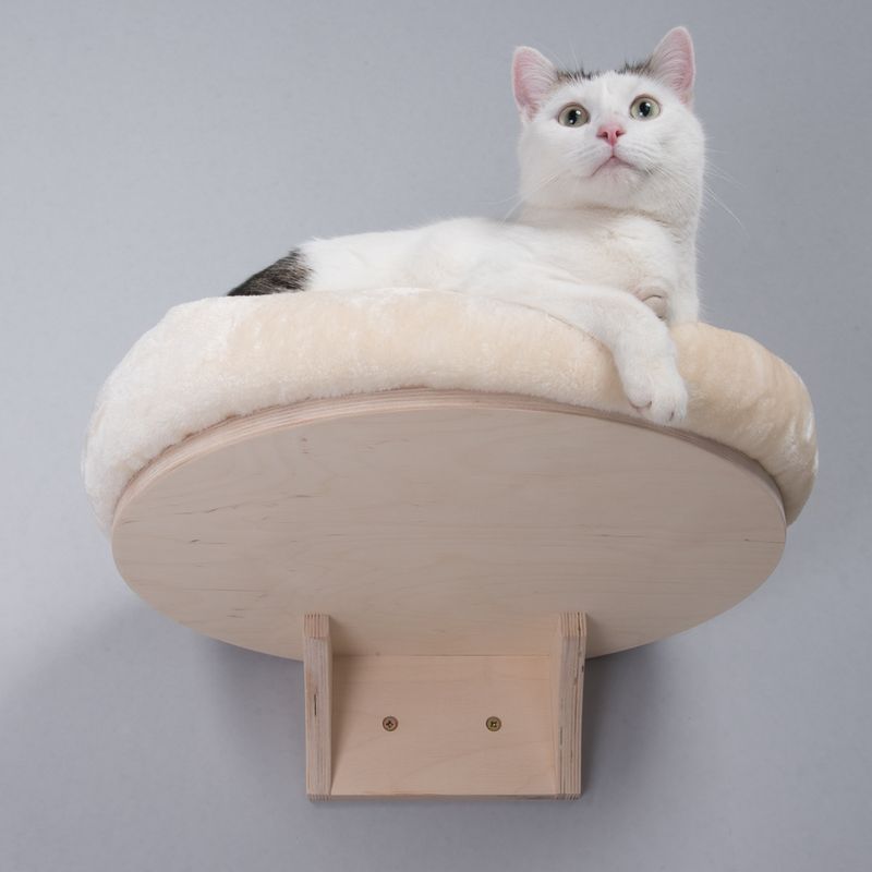 Wall-mounted wooden platform with soft beige cushion. White cat lying relaxed on it.