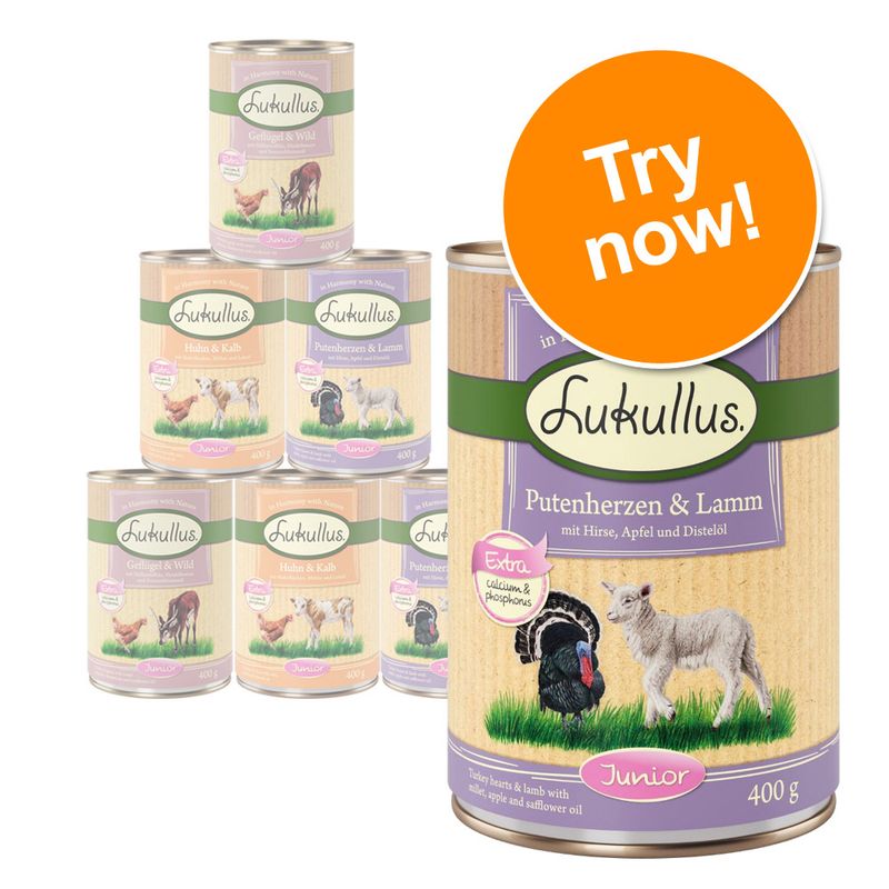Lukullus Junior tinned dog food, visible flavours include turkey hearts & lamb, chicken & veal, poultry & game, 400g cans. Large orange badge reads 'Try now!'.