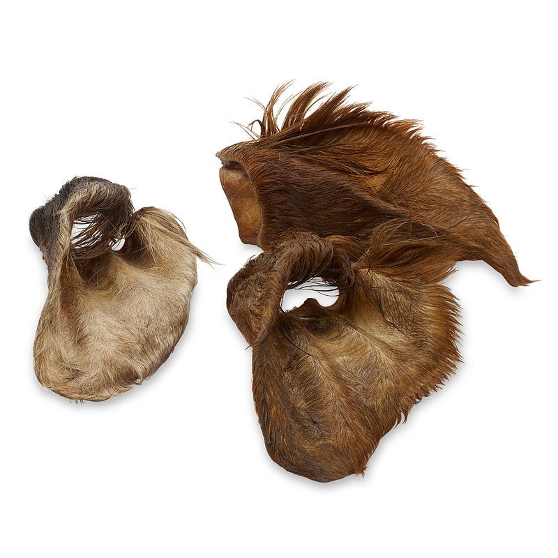 Wolf of Wilderness Dried Ears Dog Chews Saver Pack || Wolf of Wilderness || view 5