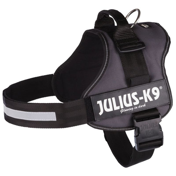 JULIUS-K9® Power Harness - Anthracite || Julius-K9 || view 1