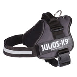 JULIUS-K9® Power Harness - Anthracite || Julius-K9 || view 7