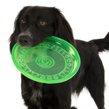 Black dog holds green frisbee with paw and bone pattern in its mouth. Product for pet entertainment.