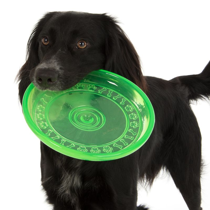 Black dog holds green frisbee with paw and bone pattern in its mouth. Product for pet entertainment.