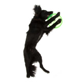 Black dog playing with green frisbee, showing use of a toy for active pets.