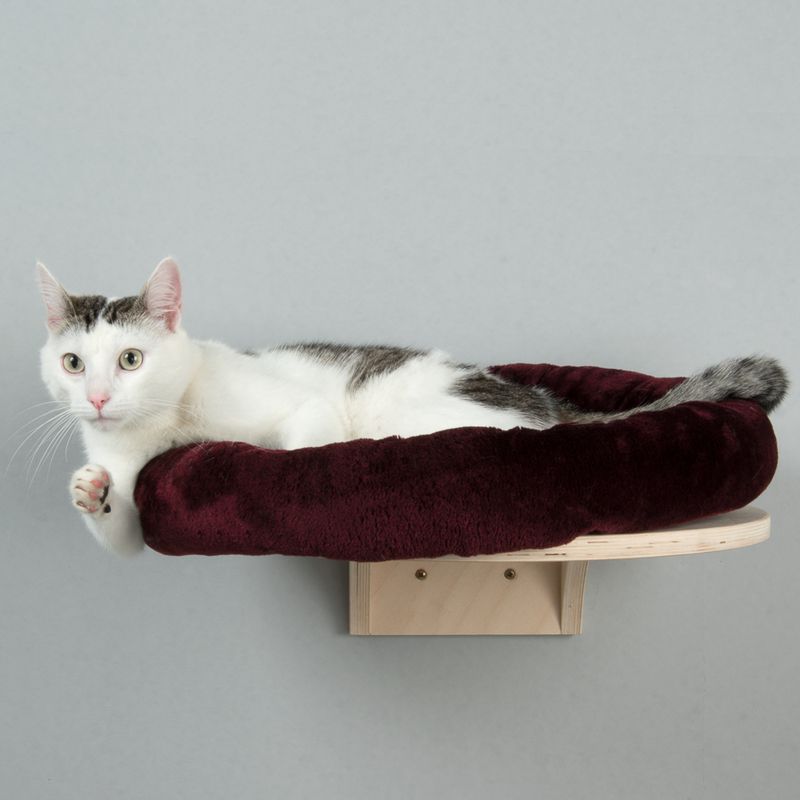 Wall-mounted cat lounger with soft bordeaux cover and wooden holder. White-grey cat lying relaxed on it.