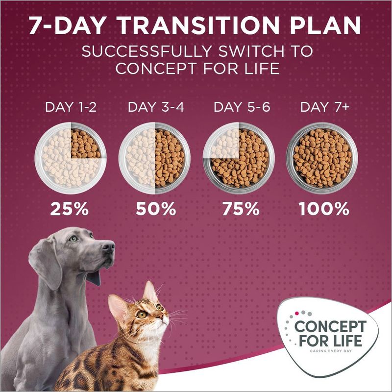 7-day transition plan showing gradual switch to Concept for Life food: days 1-2 use 25%, days 3-4 use 50%, days 5-6 use 75%, day 7+ use 100%.