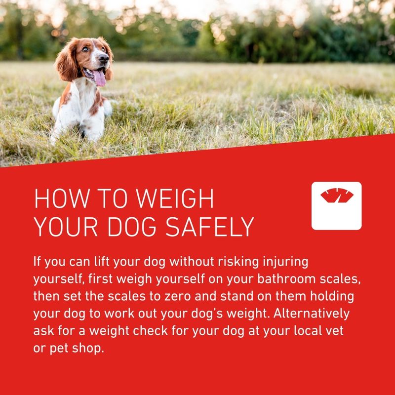 FRONTLINE® Wormer XL Tablets for Dogs || Frontline || view 6