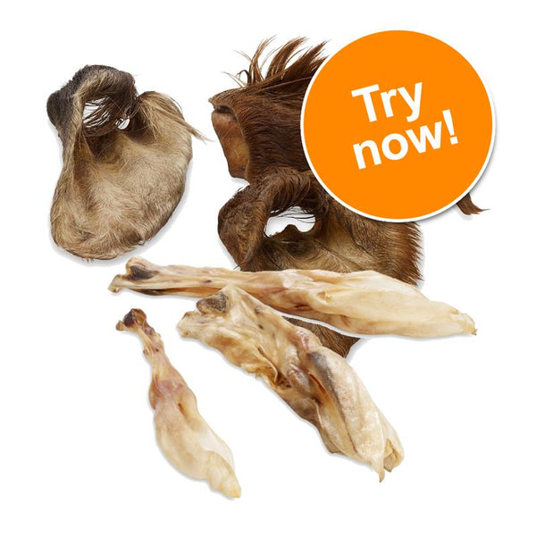 Wolf of Wilderness Dried Ears Dog Chews Trial Pack || Wolf of Wilderness || view 1