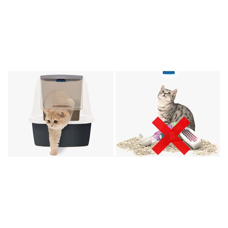 Left: Cat leaving closed litter box. Right: Cat sitting on cat litter with red X over cleaning accessories.