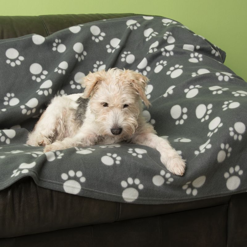 Pawty Fleece Blanket || zooplus Exclusive || view 17