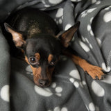 Pawty Fleece Blanket || zooplus Exclusive || view 12