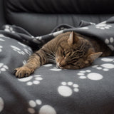 Pawty Fleece Blanket || zooplus Exclusive || view 6