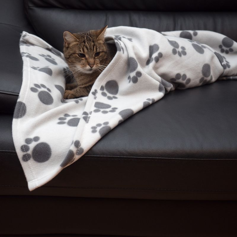 Pawty Fleece Blanket || zooplus Exclusive || view 3