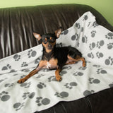 Pawty Fleece Blanket || zooplus Exclusive || view 19