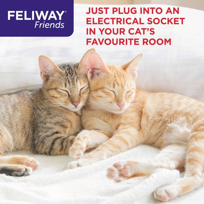 Feliway Friends. Just plug into an electrical socket in your cat’s favourite room.