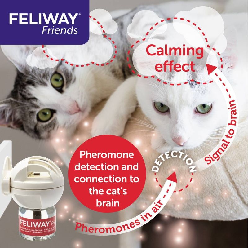 Feliway Friends product with text: Calming. Pheromone detection and connection to the cat’s brain. Pheromones in air.