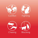 Image showing four behaviours: conflict, fighting, chasing, and blocking, each represented by animal silhouettes with corresponding labels.