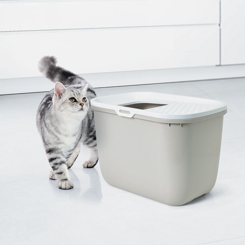 Cat litter box with top entry, grey design, next to a grey and white striped cat. Suitable for modern interiors.