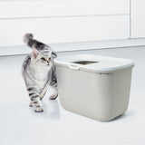 Cat litter box with top entry, grey design, next to a grey and white striped cat. Suitable for modern interiors.