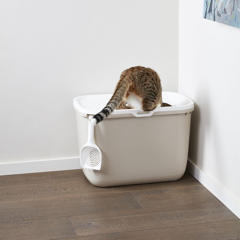 Cat toilet with white lid and integrated litter scoop, cat using the toilet.