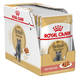 Royal Canin British Shorthair Adult in Gravy || undefined || view 6