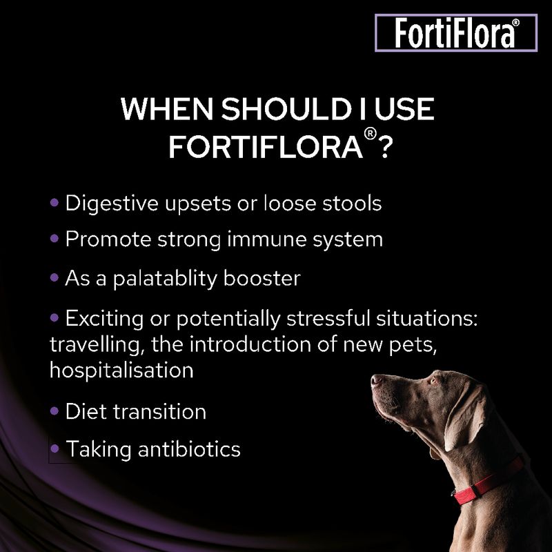 PURINA PRO PLAN Fortiflora Canine Probiotic || Pro Plan || view 4
